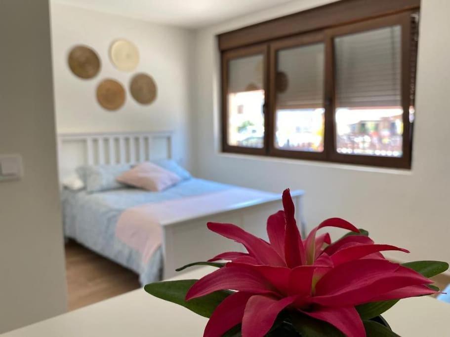 La Casa Del Arbol Apartman Corcubión Kültér fotó
